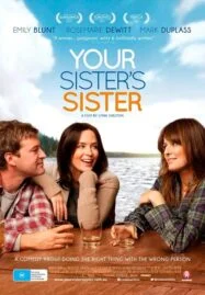 Your Sister’s Sister (2011) รักพี่หัวใจให้น้อง