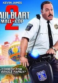 Paul Blart: Mall Cop 2 (2015) พอล บลาร์ท ยอดรปภ.หงอไม่เป็น 2