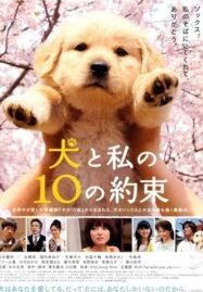 10 Promises to My Dog (2008) 10 ข้อสัญญาน้องหมาของฉัน