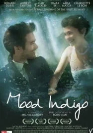 Mood Indigo (2013) รักนี้มหัศจรรย์