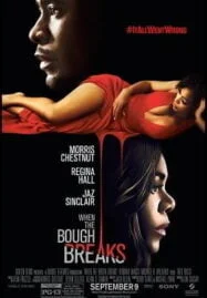 When the Bough Breaks (2016)