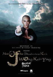 Master of the Shadowless Kick Wong Kei-Ying (2017) ยอดยุทธ พ่อหนุ่มหมัดเมา 2