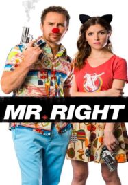 Mr. Right (2016) คู่มหาประลัย นักฆ่าเลิฟ เลิฟ