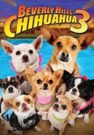Beverly Hills Chihuahua 3 Viva La Fiesta (2012) คุณหมาไฮโซ โกบ้านนอก ภาค 3
