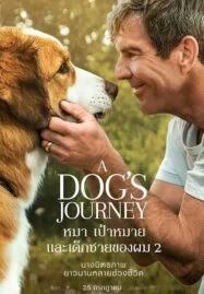 A Dog’s Journey (2019) หมา เป้าหมาย และเด็กชายของผม 2