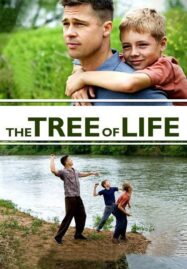 The tree of life (2011) ต้นไม้แห่งชีวิต