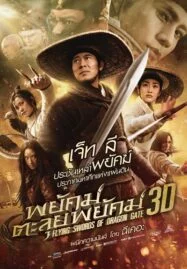 Flying Swords Of Dragon Gate (2011) พยัคฆ์ตะลุยพยัคฆ์