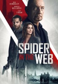 Spider in the Web (2019)