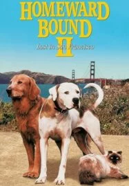 Homeward Bound II: Lost in San Francisco (1996)