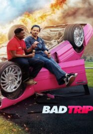 Bad Trip (2021) ทริปป่วนคู่อำ