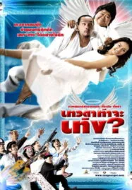 Tengs Angel (2008) เทวดาท่าจะเท่ง