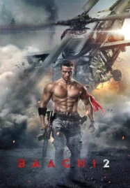 Baaghi 2 (2018)