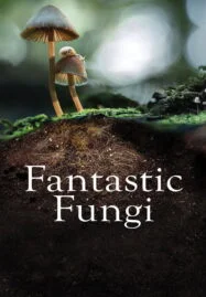 Fantastic Fungi (2019) เห็ดมหัศจรรย์