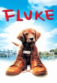 Fluke (1995) เกิดใหม่กลายเป็นหมา