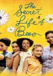 The Secret Life of Bees (2008) สูตรรักรสน้ำผึ้ง