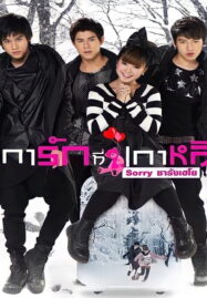 Sorry Saranghaeyo (2010) เการักที่เกาหลี ซอร์รี ซารังเฮโย