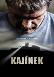 Kajinek (2010) คนคดีเดือด